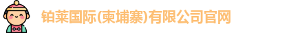 铂莱国际